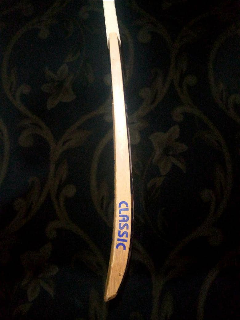 coconut bat 2
