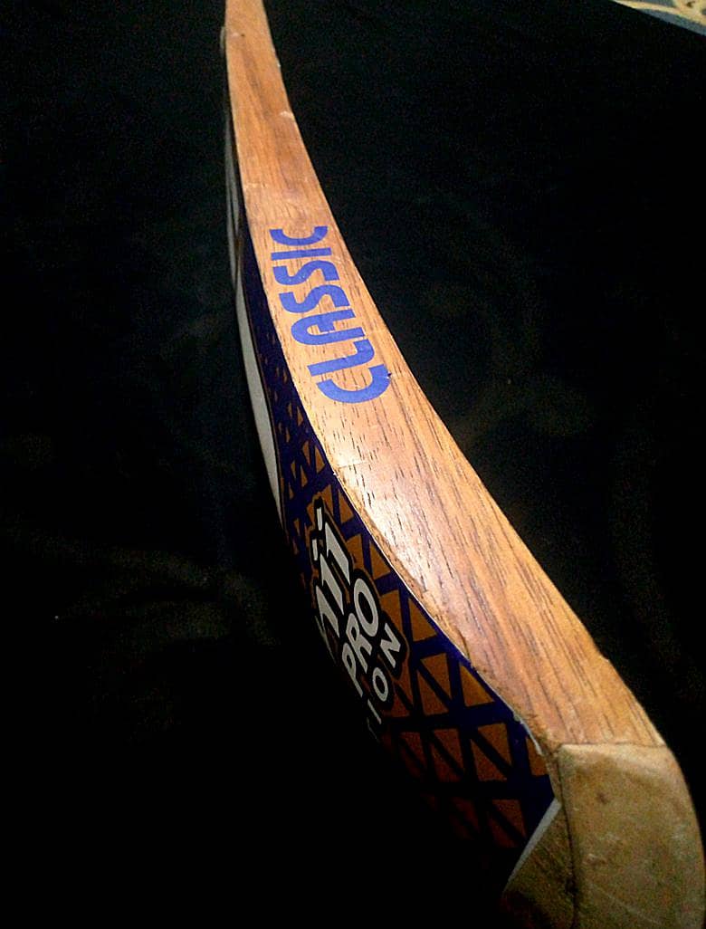 coconut bat 4