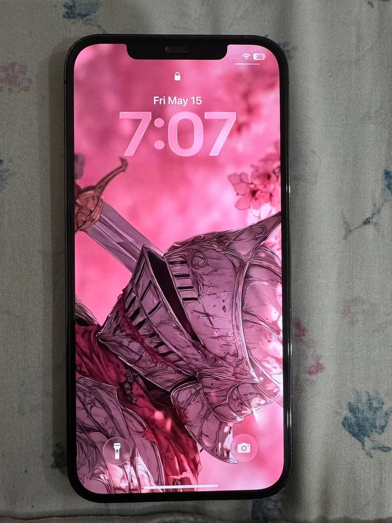 12 pro max 5