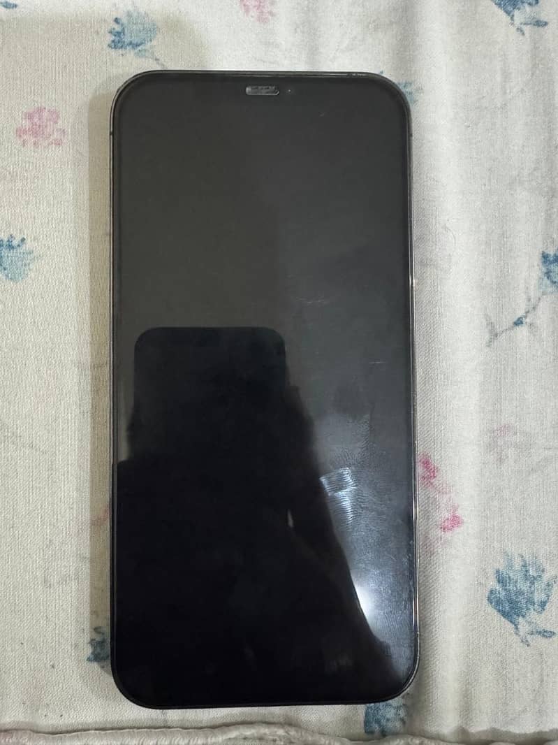 12 pro max 7