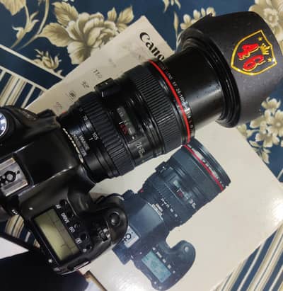 canon 6d with 24-105 f4 L series lens