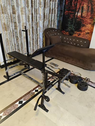 Multi Position Bench Press/Dumbells/Rod/Pull Up Bar/Weights/home use