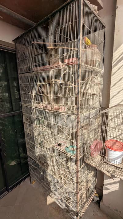 cage 15 portion