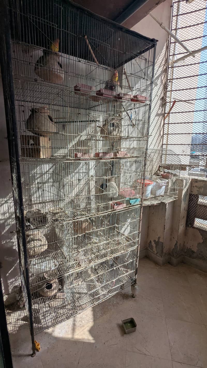 cage 15 portion 1