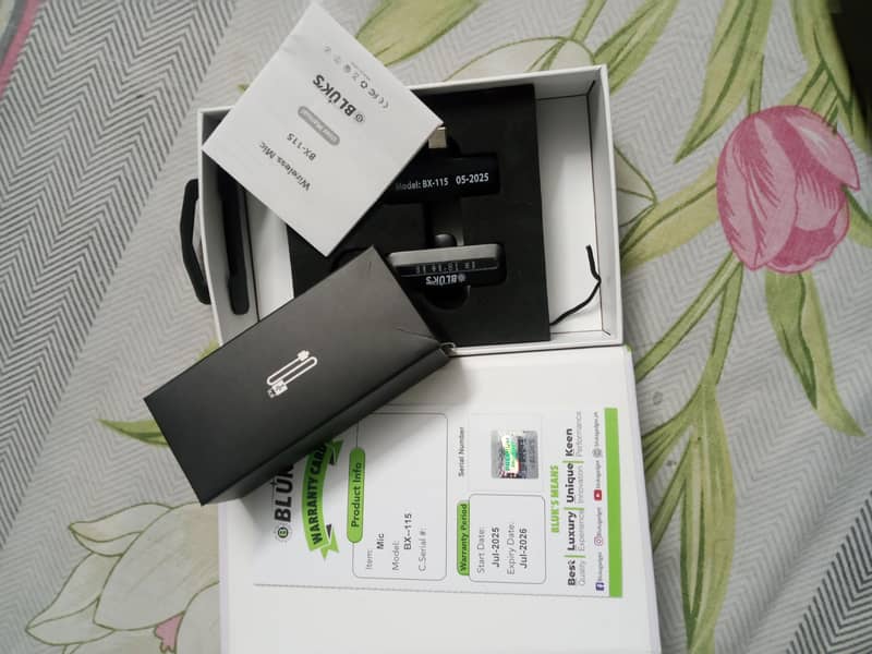 Wireless Mic 1