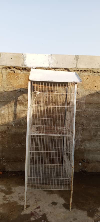 bird/parrot and hen Cage