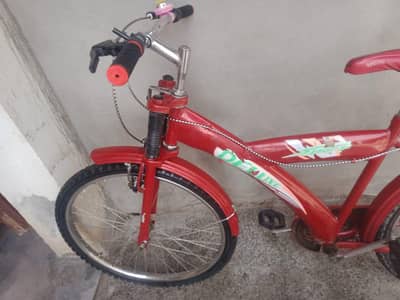 sale karni