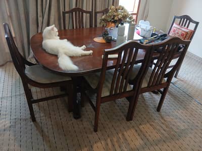 All wood dining table & chairs