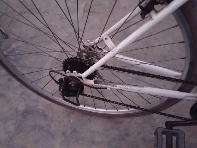 cycle 1