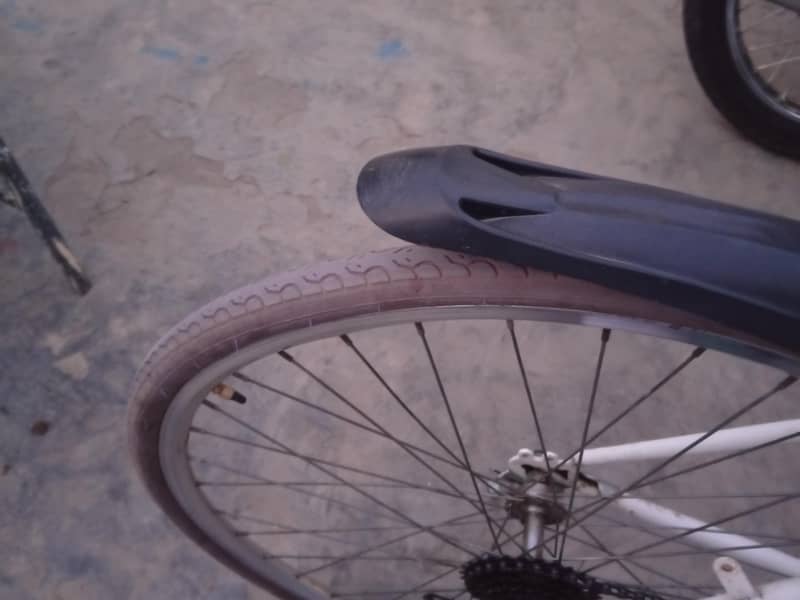 cycle 2