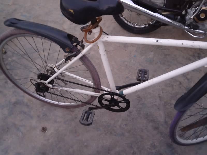 cycle 4