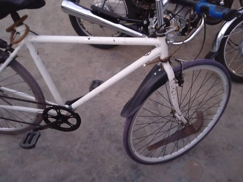 cycle 5