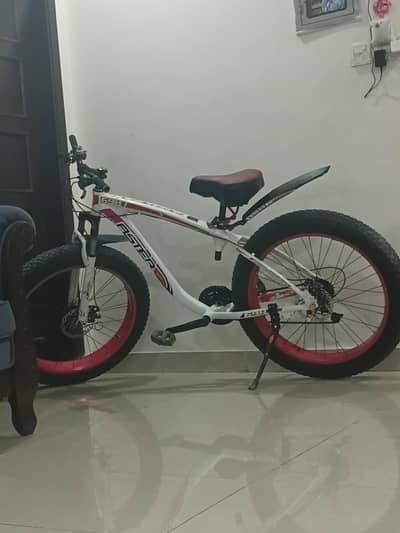 Sports Bicycle