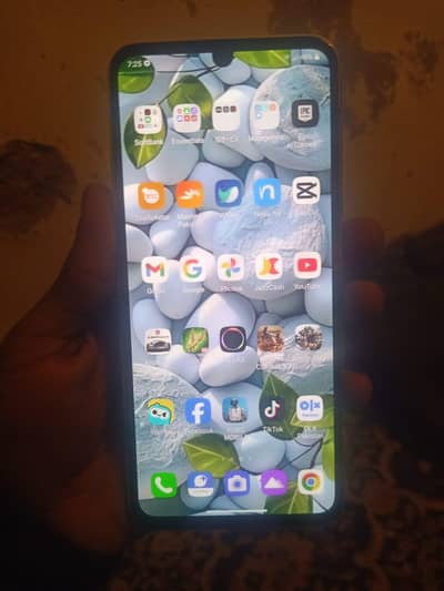 LG v60