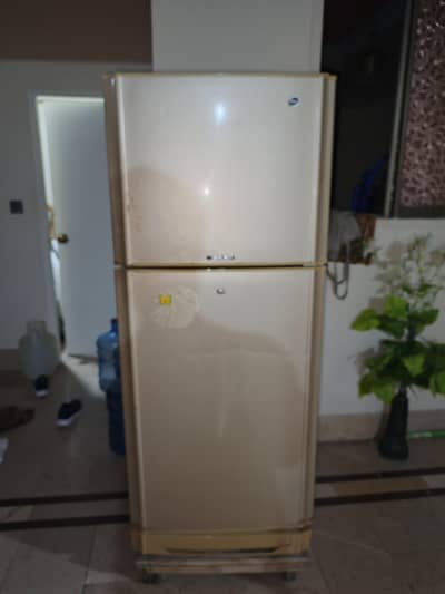 PEL Refrigerator