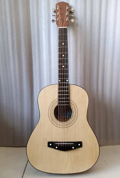 acoustic guitar