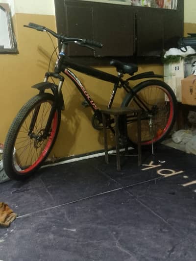 Cycle Full size Made By Focus 26 inch