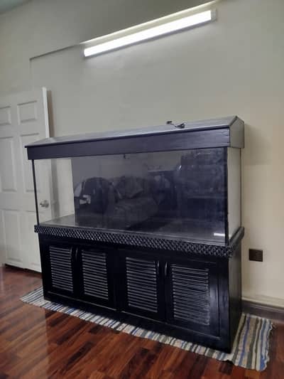 5ft Aquarium