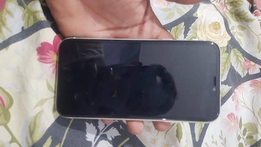 iPhone 0