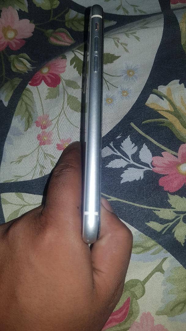 iPhone 5