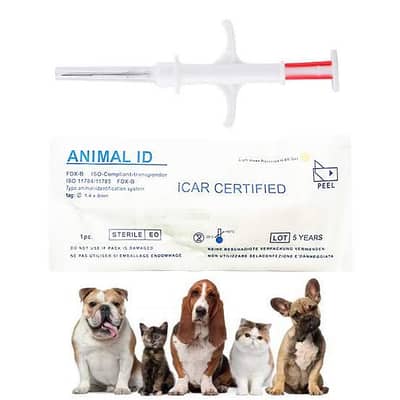 Micro Chips for Cats and Dogs