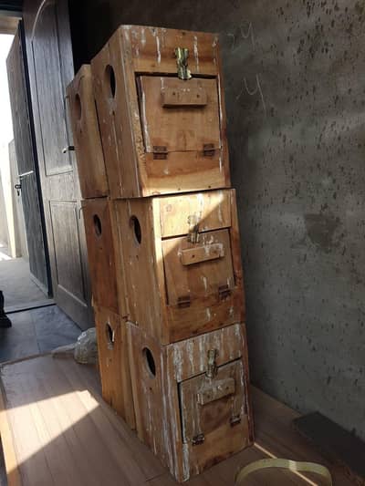 love birds boxes