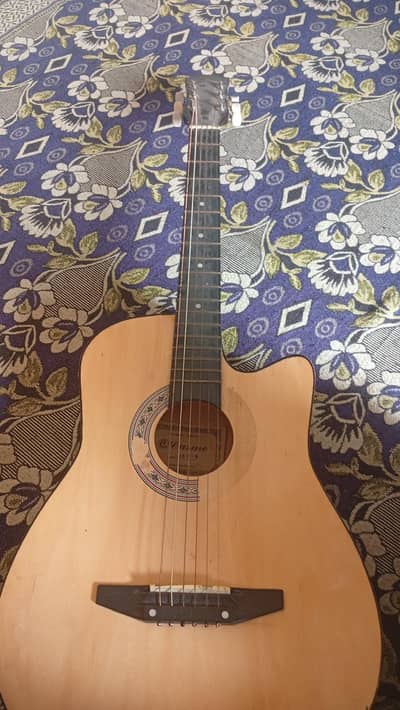 beginner Guitar Casio
