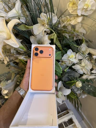 iPhone 17 Pro Max