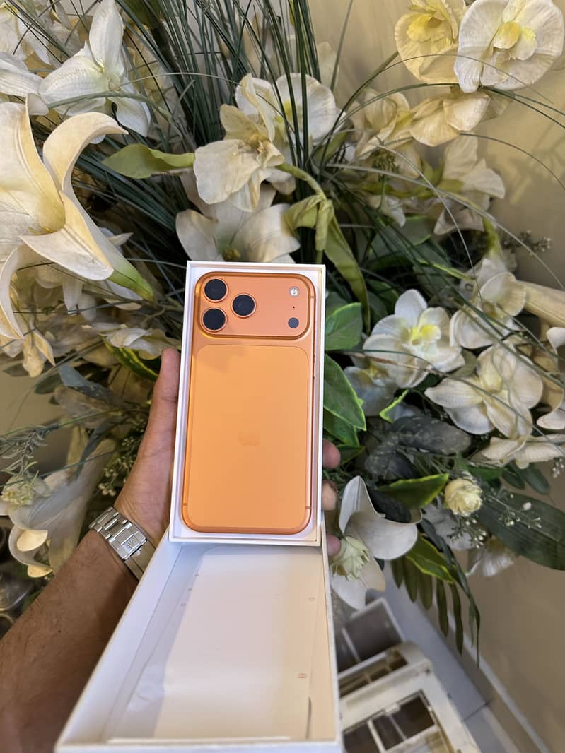 iPhone 17 Pro Max 0