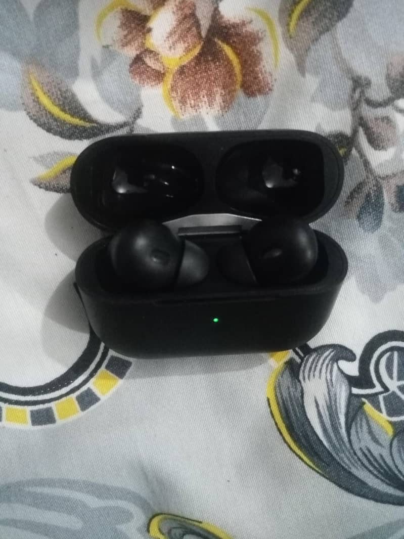 Earbird 0