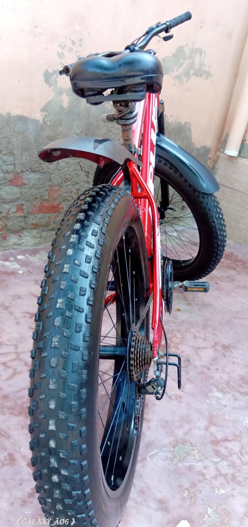 Plus Cycle 2