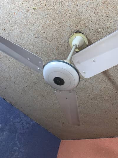 GFC SUPER DILUX CELLING FAN 56INCH ORIGNAL COPPER WIRING