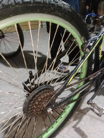 racing cycle
