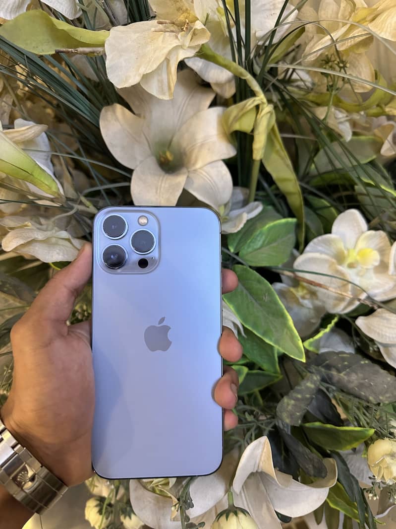 iPhone 13 Pro Max 0