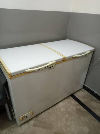 Waves Deep freezer double door