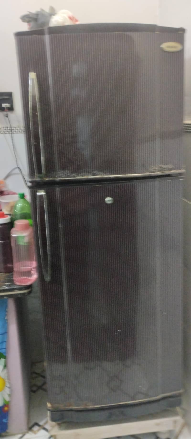 waves fridge 3
