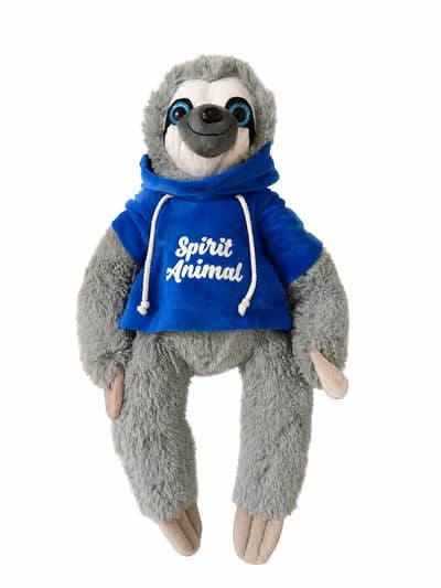 sloth animal