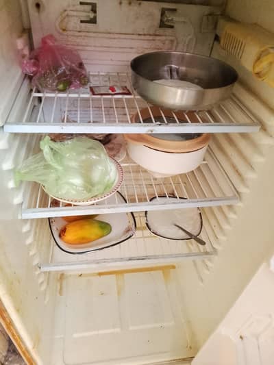 refrigerator