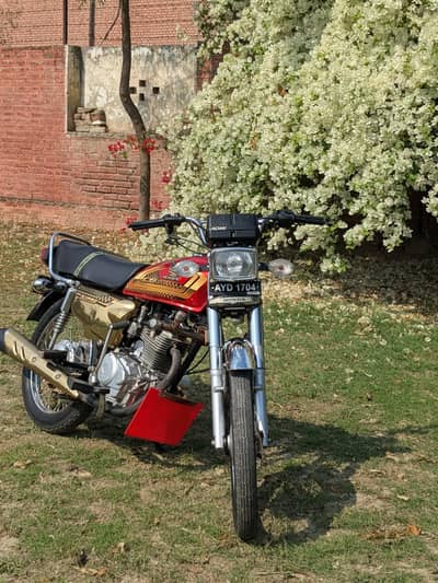 GOLD EDITION bike 2025