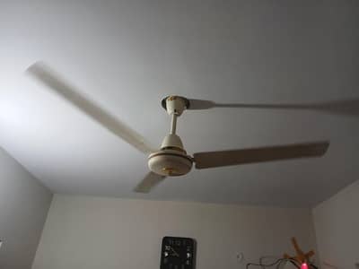 3 Pcs Ceiling Fans