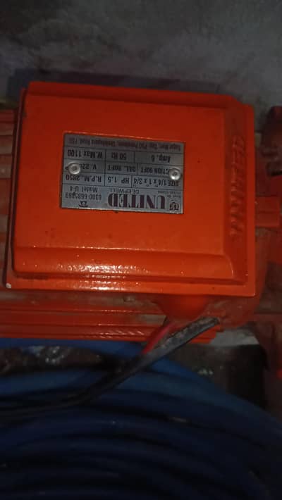 United double impeller pump