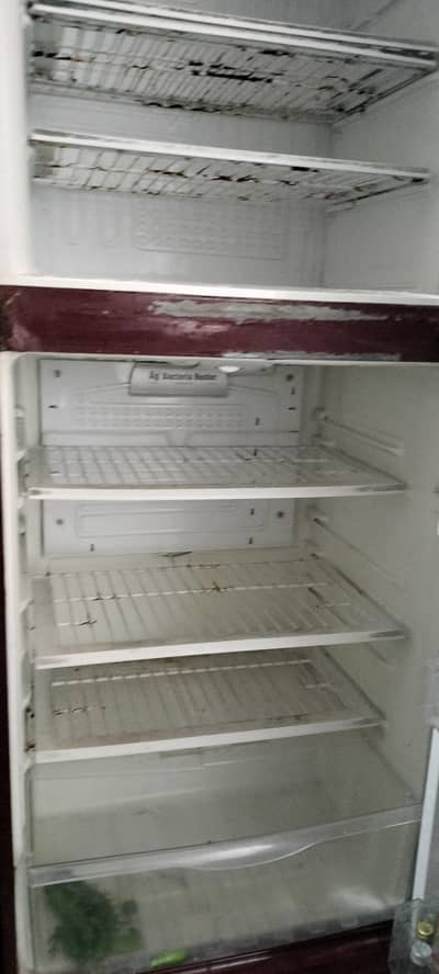 pel refrigerator for sale