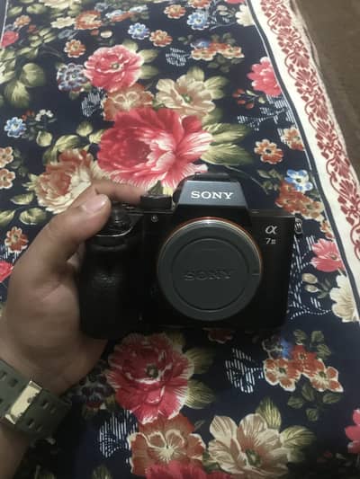 Sony A7iii just body