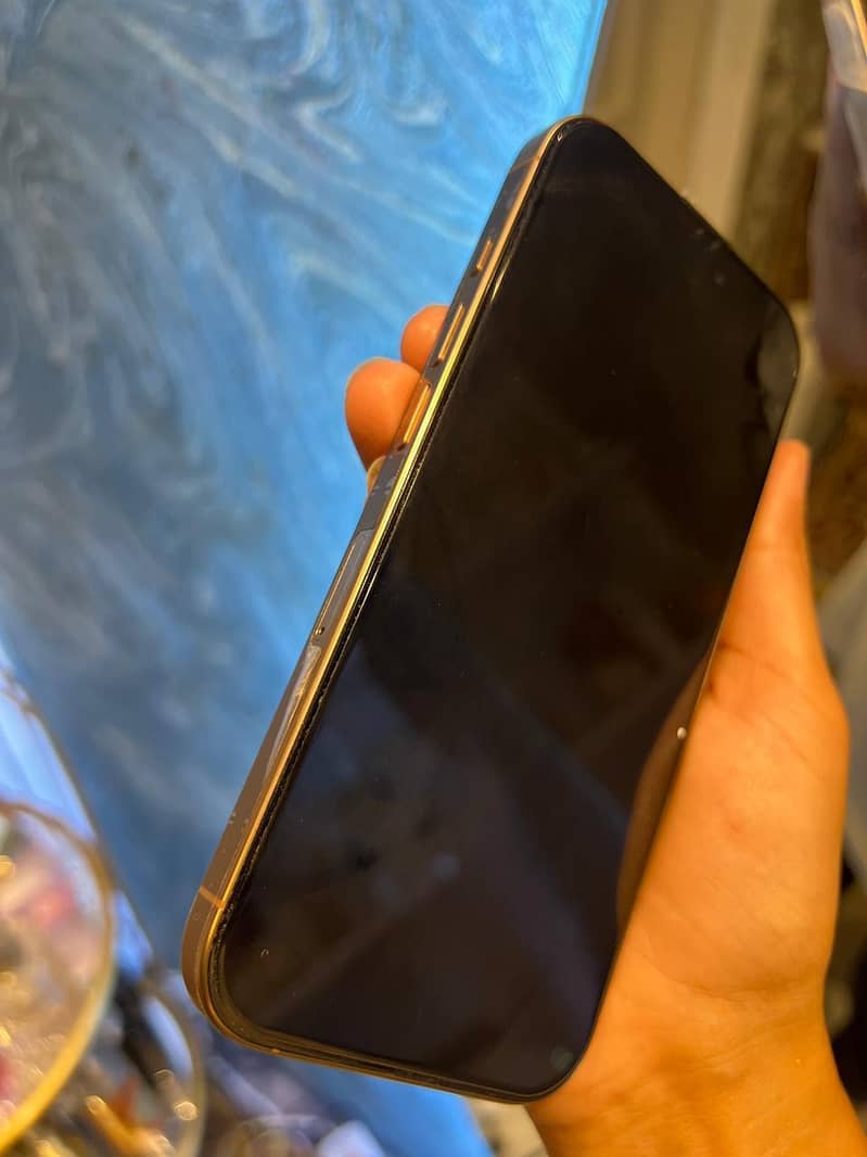 iPhone 16 Pro 3