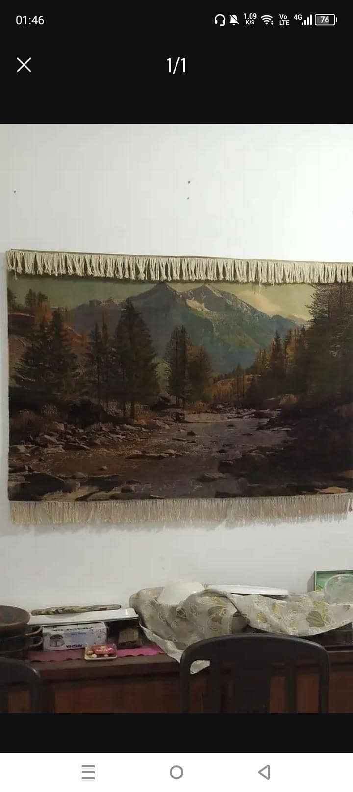 wall carpet 1