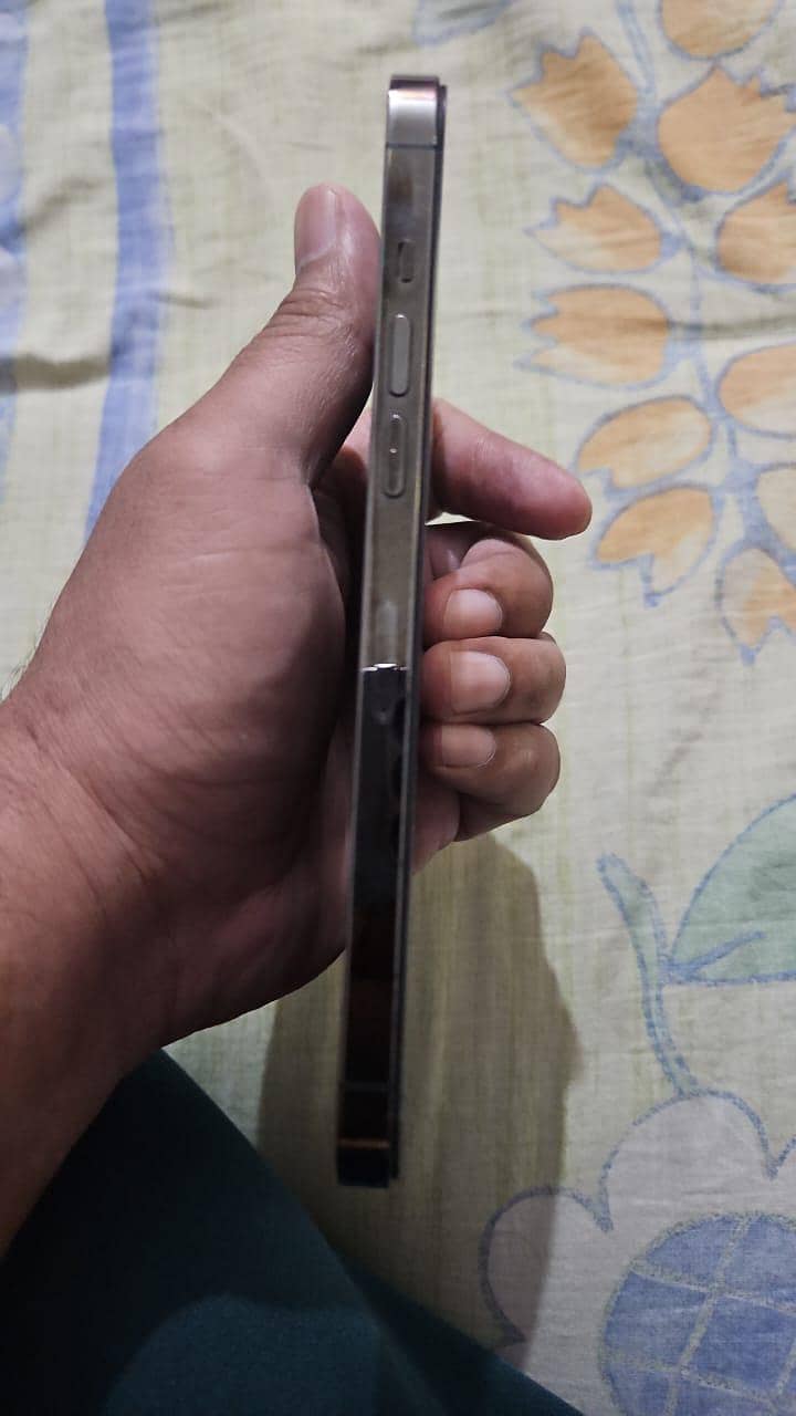 12 pro Max 1