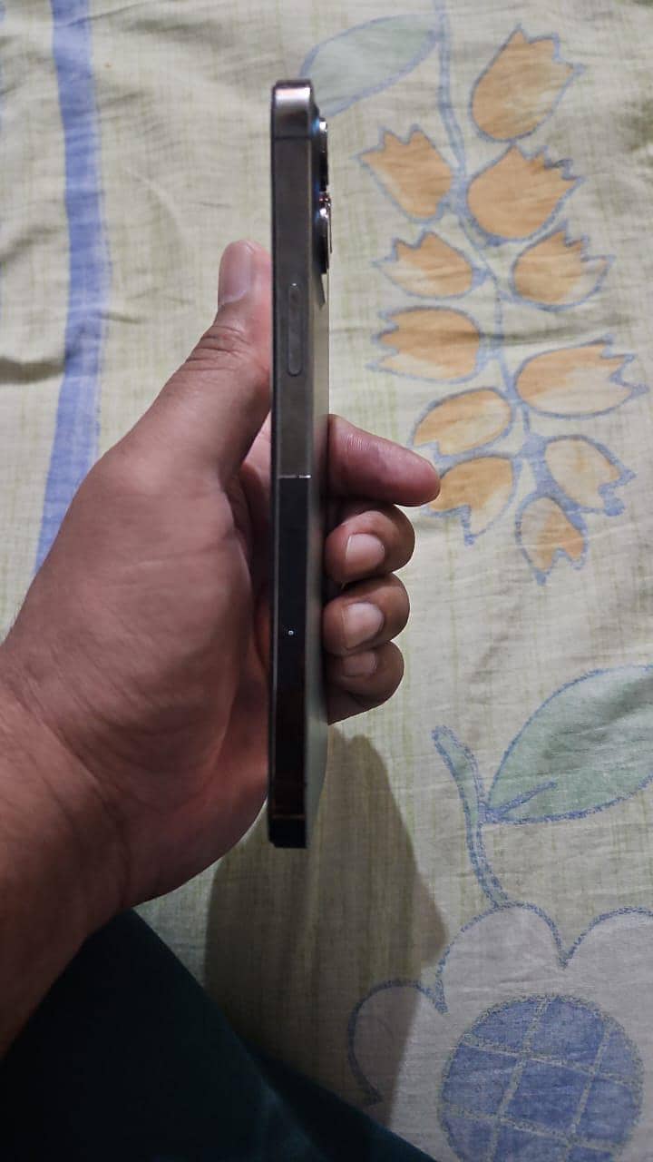 12 pro Max 3