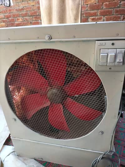 lahorei cooler