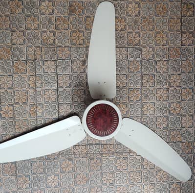 Royal 2 Ceiling Fans For Sale!  Passion Model.