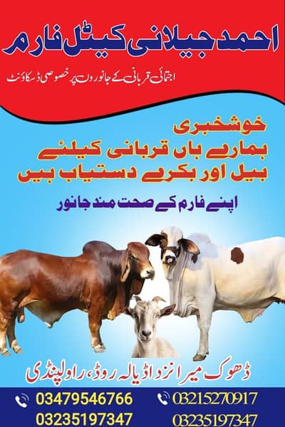 Qurbani 2026